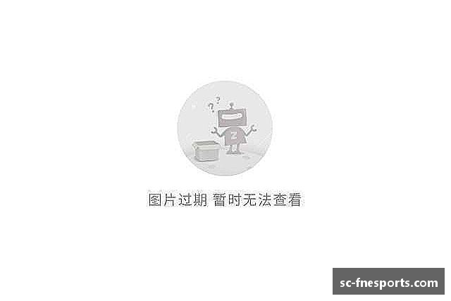 了解蜂鸟电竞