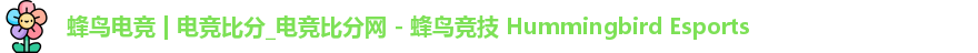 蜂鸟电竞